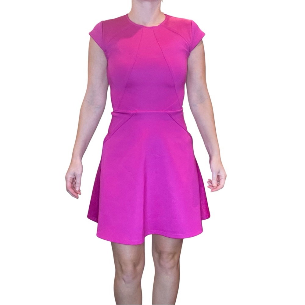 Ted Baker Eebrr Dress